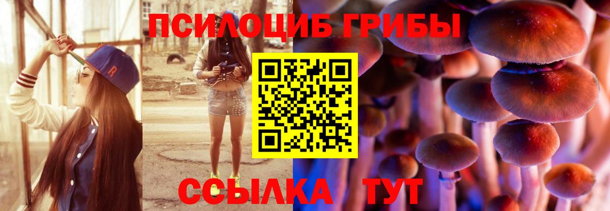 Галлюциногенные грибы прущие грибы  Вход с VPN  магазин продажи   Псилоцибиновые грибы Magic Shrooms  Ноябрьск 